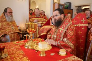Викарий совершил Пасхальную литургию