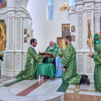 Архиерейские богослужения в праздник Святой Троицы на Волжском