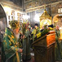 Богослужения в Вербное воскресение в Петропавловском храме