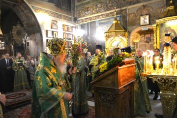 Богослужения в Вербное воскресение в Петропавловском храме
