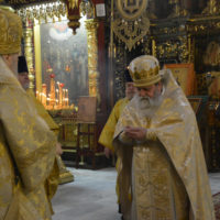 В день годовщины священнической хиротонии митр. Ювеналия