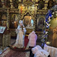 Богослужения в праздник Богоявления в Петропавловском храме