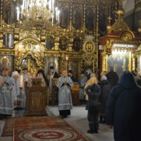 Богослужения в праздник Сретения Господня в Петропавловском храме