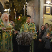 Вербное воскресение в Петропавловском храме