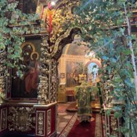 Богослужения в день Святой Троицы в Петропавловском храме